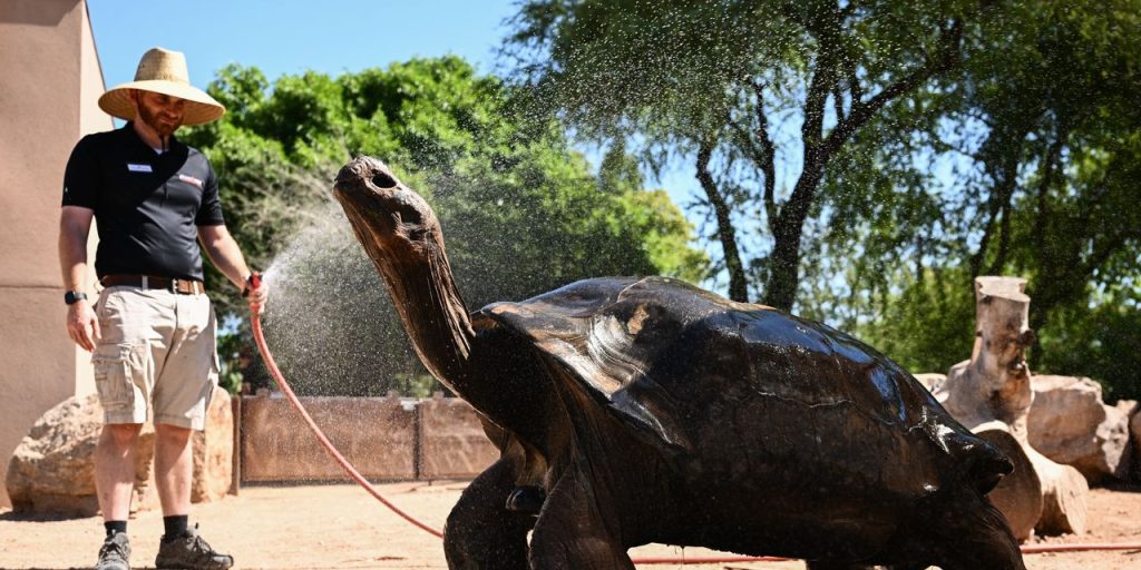 Already roasting in extreme heat? 2024 could be even hotter, NASA scientists warn.