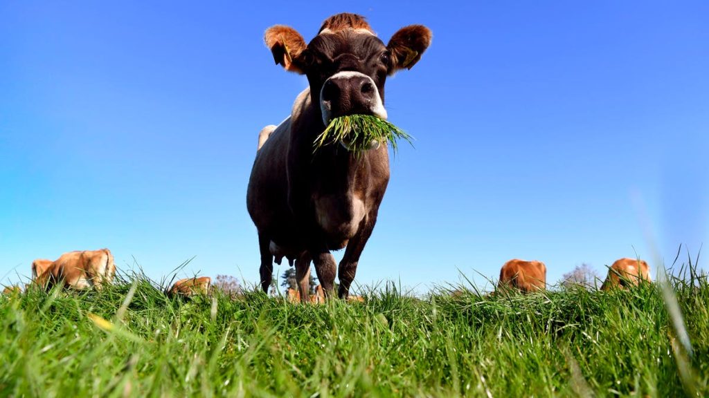 Conservation Easements Under Scrutiny: How Jack Fisher’s Case Impacts The Industry