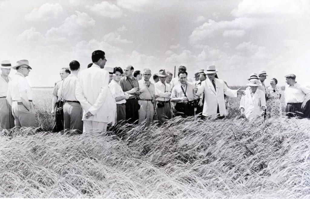 Securing key supplies of food like wheat to a world in escalating turmoil and war is a must and will lead to significant stockpiling demandn